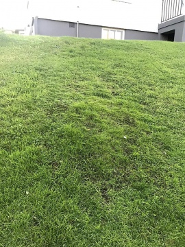 Umělá tráva 1x1 metr